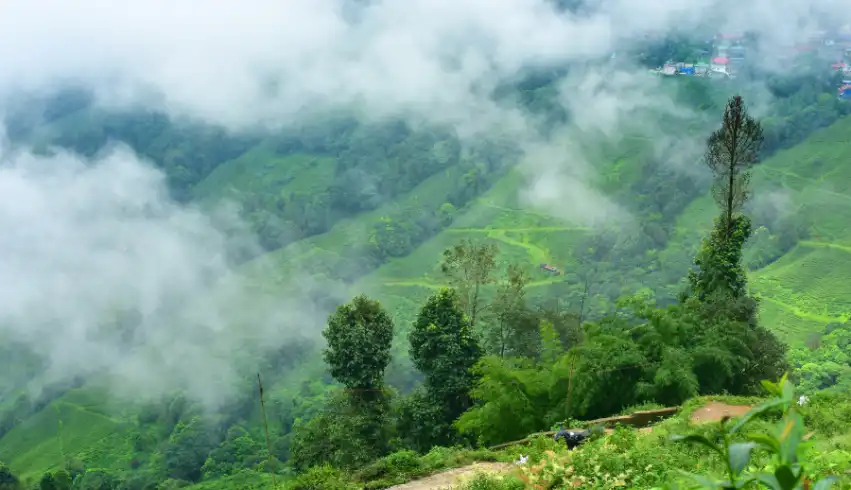 North East Tour Package